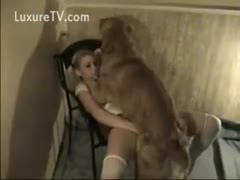 Sexy college slut screwed by doggy